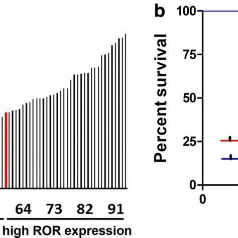 Comparison Of Prognostic Survival Rates Between Linc ROR Low And