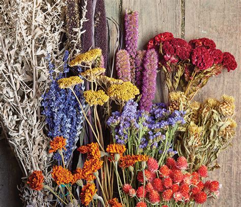 Simple Dry Flower Arrangement Napnepal Gov Np