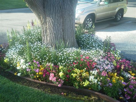 Fall And Winter Flower Beds Landscape Makeover Folsom And Sacramento