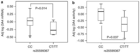 Intronic Polymorphism In Cyp3a4 Affects Hepatic Expression And Response