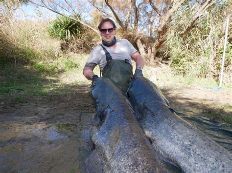 November Angeln Am Ebro Extreme Ebrofishing