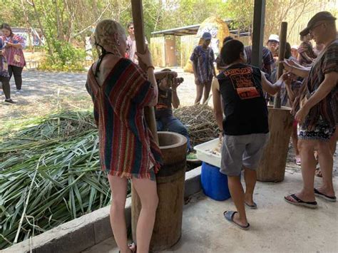 Phuket Ethical Elephant Sanctuary Interactive Tour Getyourguide