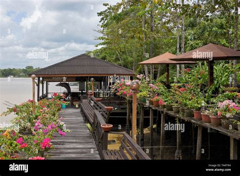 Kinabatangan Riverside Lodge and Sungai (River) Kinabatangan, Sukau ...