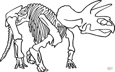 Kolorowanka Szkielet Dinozaura Kolorowanki Dla Dzieci Do Druku