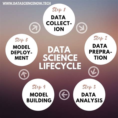 Data Science Life Cycle In 5 Steps By Vanshika Goel Medium