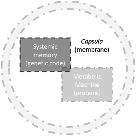 A Simplified Representation Of A Cell The Systemic Memory Genetic