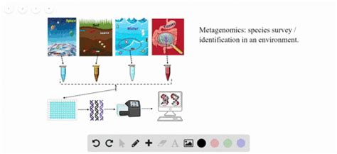 Solved Whole Exome Sequencing Wes Is Helping Physicians Diagnose A