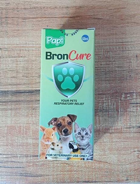 PAPI Broncure 60ml For Respiratory Strength Lazada PH