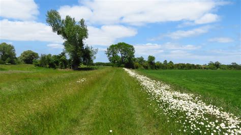 On The Severn Way Southwest Of Elmore Colin Park Cc By Sa