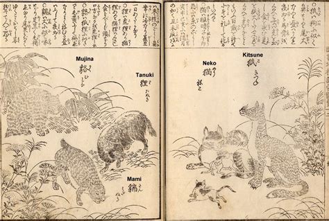 Tanuki - Japanese Trickster & Spook, Originally Evil, Now Icon of ...