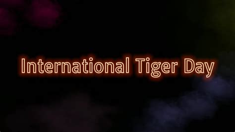 International tiger day 9334191 Stock Video at Vecteezy