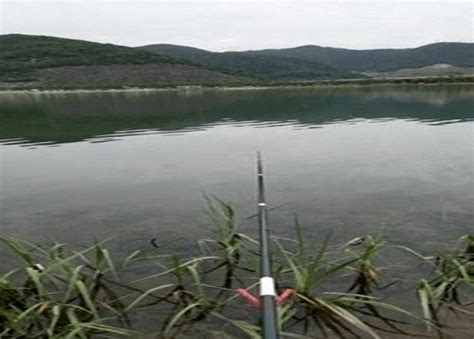 夏季高温鲴鱼活跃，野钓做好这5点，钓友们夏季野钓不断上鲴鱼水域