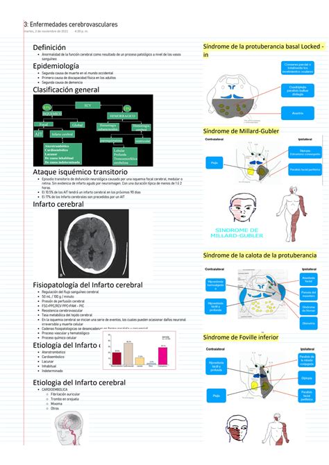 Solution Enfermedades Cerebrovasculares Studypool