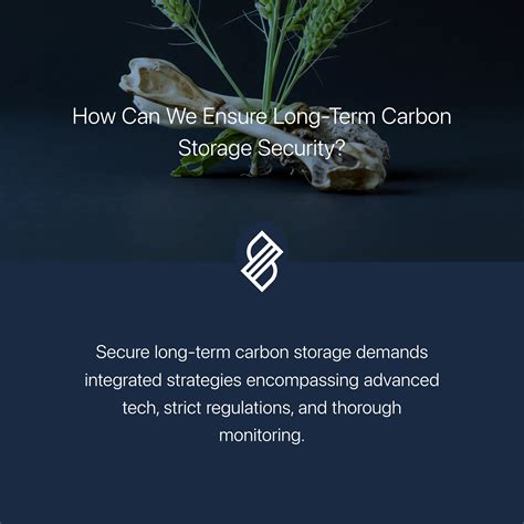 Long-Term Sustainability → Term