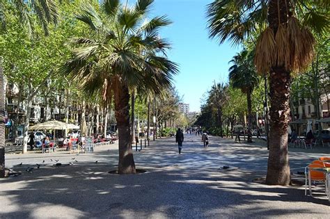 El Raval Barcelona • What to see & where to stay in the Raval district ...