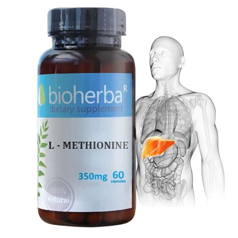 Л-МЕТИОНИН 350мг 60 капс. БИОХЕРБА L-METHIONINE 350mg 60 caps. BIOHERBA ...