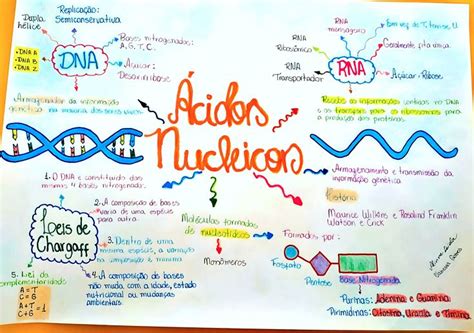 ÁCIDOS NUCLEICOS DNA E RNA Dna e rna Mapa conceitual Mapa mental