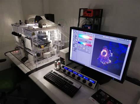 Scanning Confocal Microscope Leica Sp X With White Laser