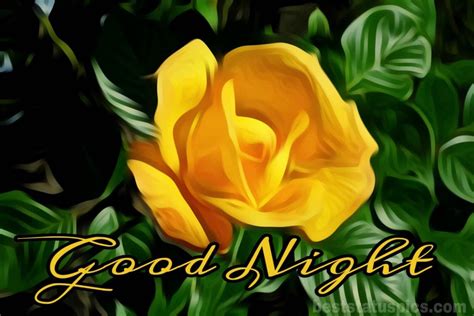 51+ Good Night Yellow Rose Flower Images For Friendship - Best Status Pics