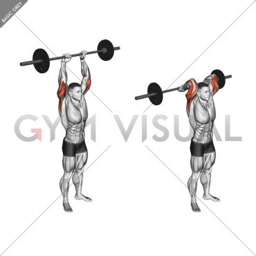 Barbell Standing Overhead Triceps Extension