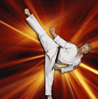 Martial Arts GIF - Find & Share on GIPHY