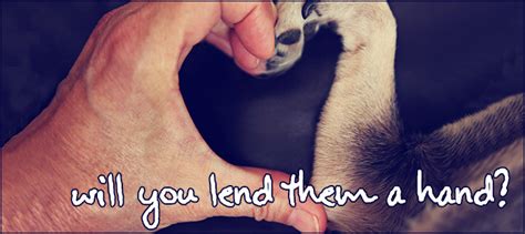 Lend Them a Hand - The Humane Society of Harford County