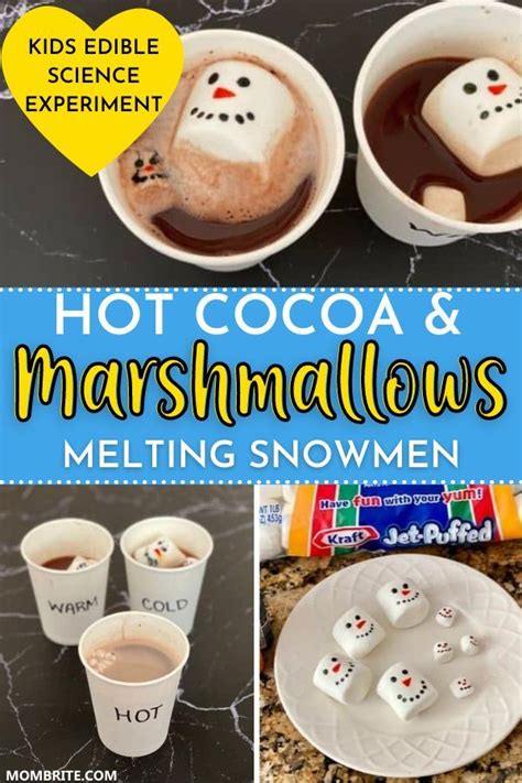 Hot Cocoa And Marshmallows Melting Snowmen Experiment