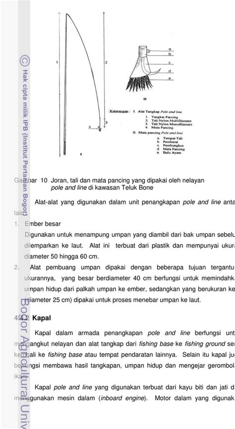 Analisis Perikanan Cakalang Katsuwonus Pelamis Di Teluk Bone