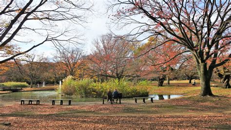 Tokyo Fashion On Twitter RT Tokyonobo Yoyogi Park Is A Few Minutes