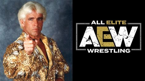 Ric Flair On Whether Aew Or Wwe Should Sign Time World Champion After