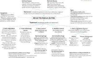 Management of Atrial Fibrillation (AF) with Rapid Ventricular Response ...