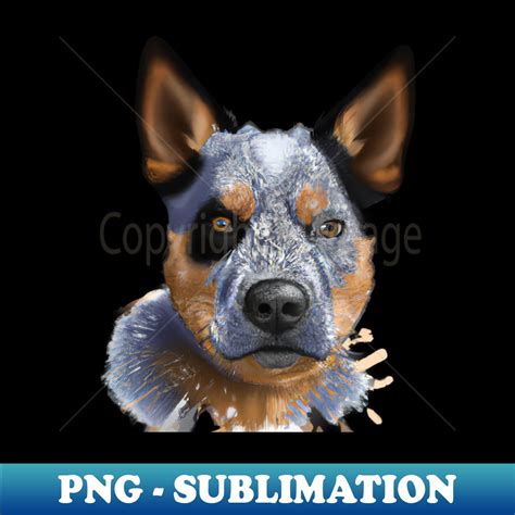 Cute Australian Cattle Dog Drawing Retro Png Sublimation D Inspire