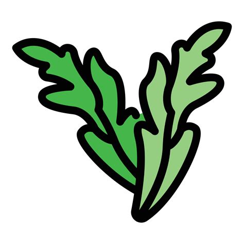 Plant arugula icon color outline vector 15032204 Vector Art at Vecteezy
