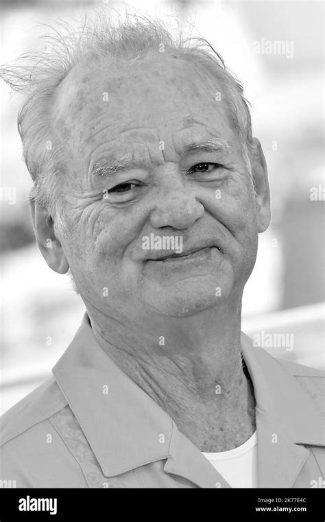 Bill Murray Attending The The Dead Dont Die Photocall During The 72nd