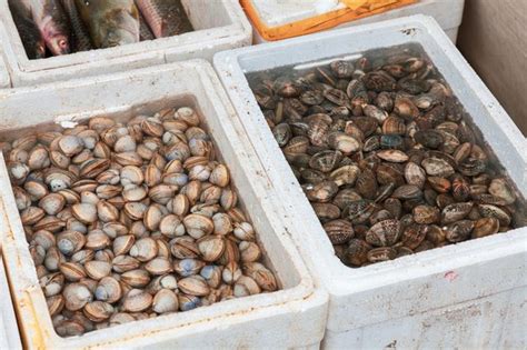 Qual è la differenza tra vongole e vongole veraci Agrodolce