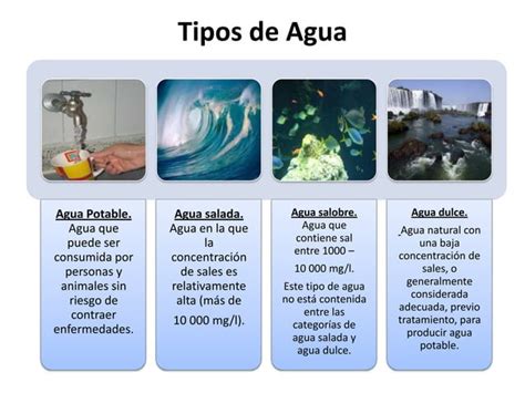 Microbiolog A Del Agua