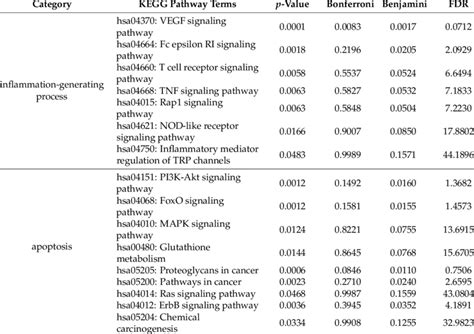 The Classification Results Of KEGG Pathway Enrichment Analysis