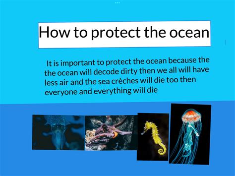 How To Protect The Ocean Sonny Panmure Bridge School