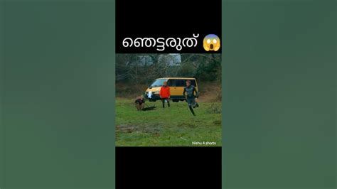 ഇത് കണ്ട് ഞെട്ടരുത് 😱 ️ Gys Unknown Facts Facts Malayalam Shorts