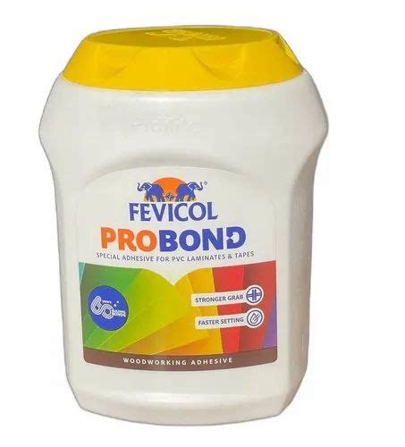 Fevicol Probond Wood Working Adhesive 1kg Jar At Rs 350kg In Coimbatore