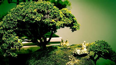 🔥 [60+] Bonsai Tree Wallpapers | WallpaperSafari