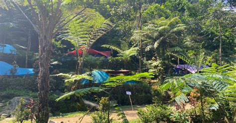 asyiknya bermain air  lembah tepus gunung halimun wwwshalstorycom