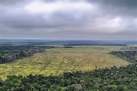 DEVASTAÇÃO De 1985 a 2023 a Amazônia já perdeu 55 milhões de hectares