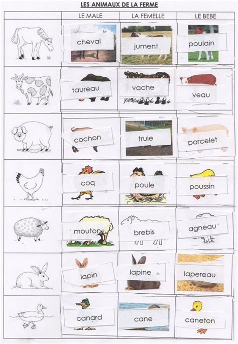 Pin By Elena P Rez Garc A On Fle Les Animaux French Language