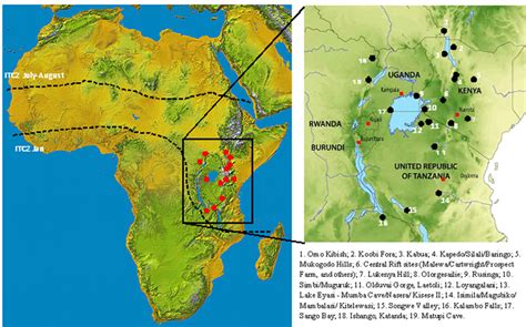 First Humans In Africa