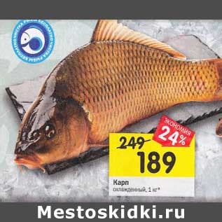 Сколько Стоит Карп 1 Кг В Магазине — Novye-skidki.ru