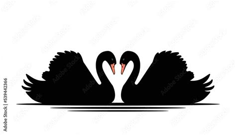 Cartoon Swan Swimming In The Pond Black Silhouette Swan Largest Flying