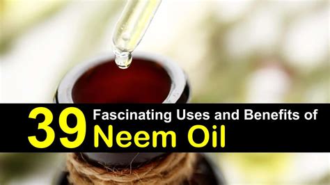 Neem Oil Uses [infographic] Ecogreenlove