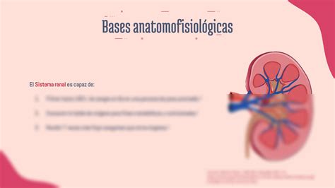 Solution Jos Garc A A Renal Enfermedad Renal Aguda Y Cr Nica Studypool