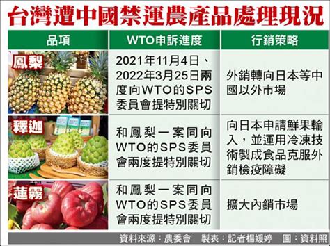 中國禁台石斑 我擬11月wto申訴 自由電子報 Line Today